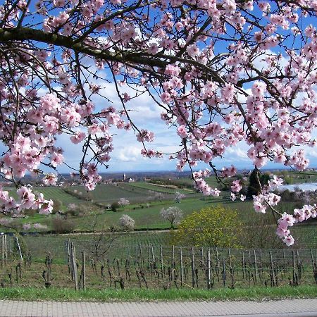 Loblocher Max Und Moritz Neustadt an der Weinstraße Εξωτερικό φωτογραφία