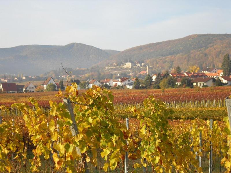 Loblocher Max Und Moritz Neustadt an der Weinstraße Εξωτερικό φωτογραφία