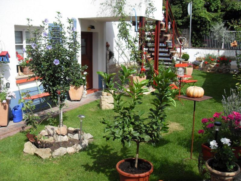 Loblocher Max Und Moritz Neustadt an der Weinstraße Εξωτερικό φωτογραφία
