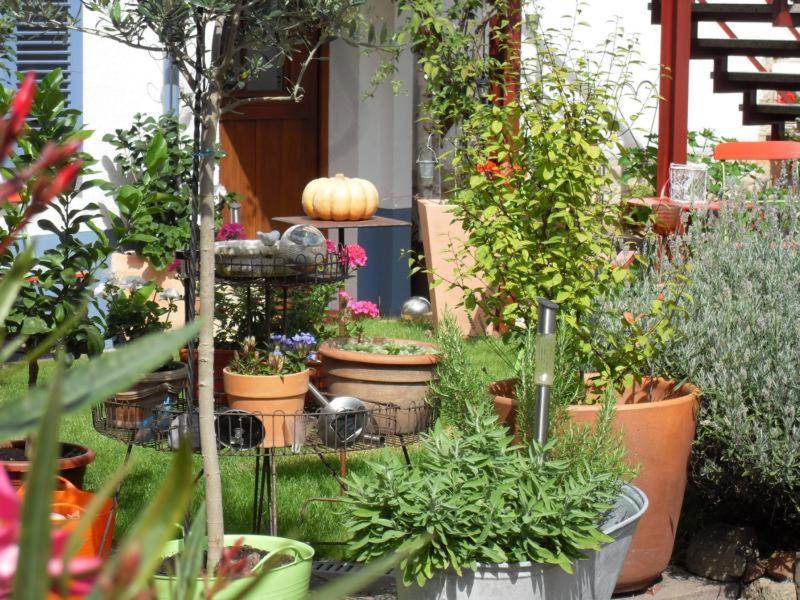 Loblocher Max Und Moritz Neustadt an der Weinstraße Εξωτερικό φωτογραφία